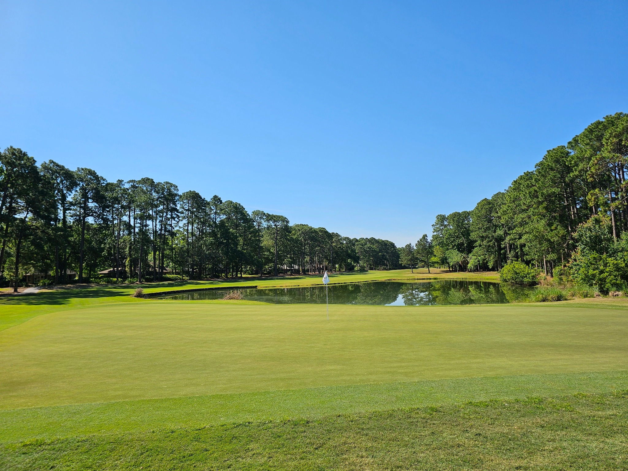 Dolphin Head Golf Club: A Showcase of Architectural Elegance and Accessibility