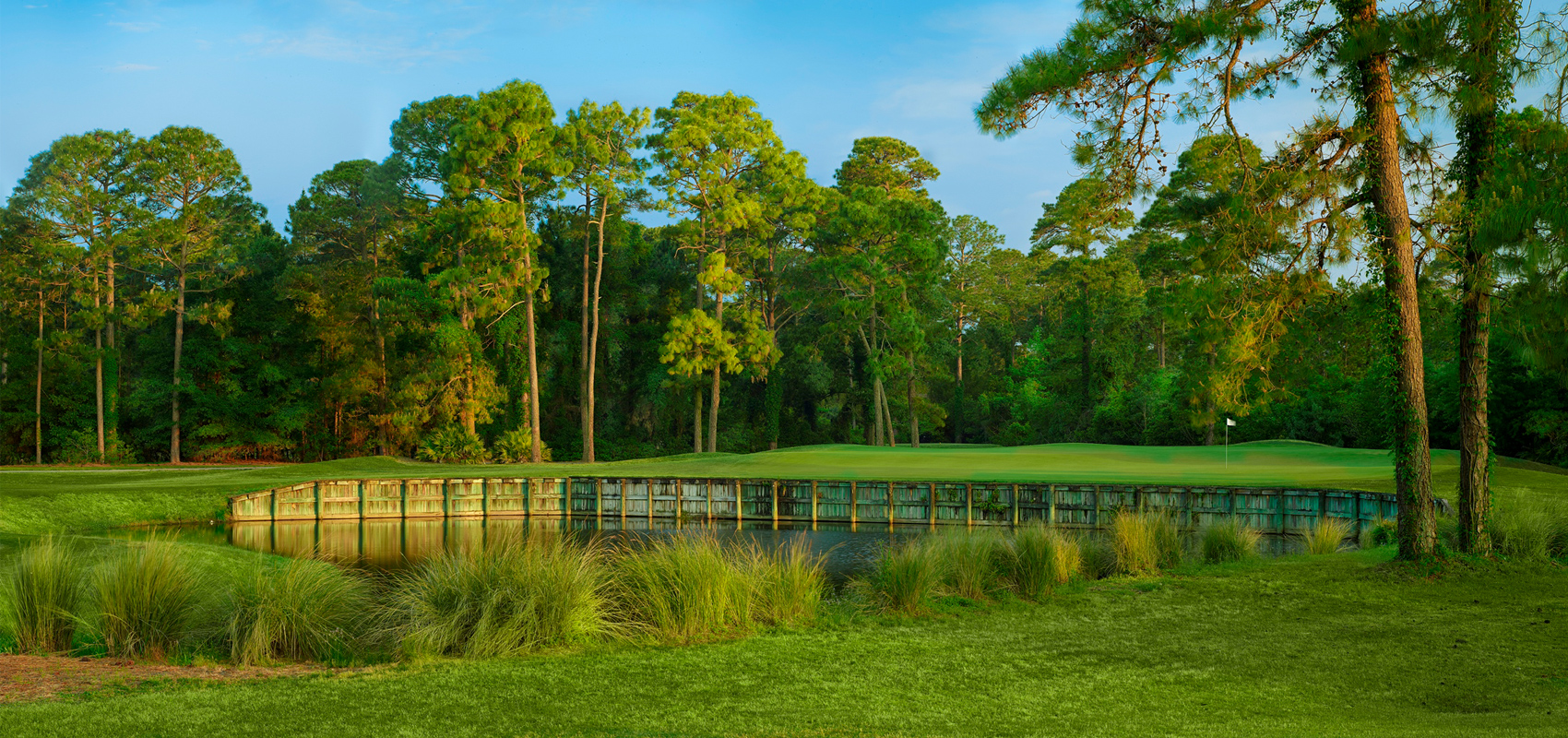 Palmetto Hall Golf and Country Club: Harmony of Tradition and Innovation