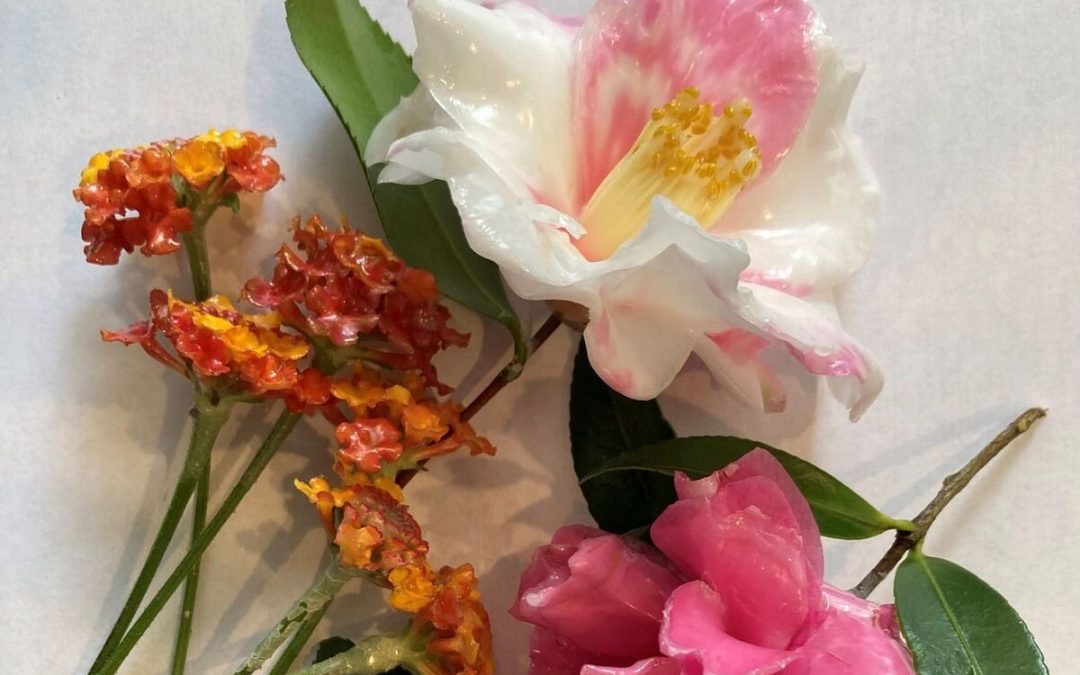 Explore the Beauty of Camellias: Flower Waxing Event in Hilton Head