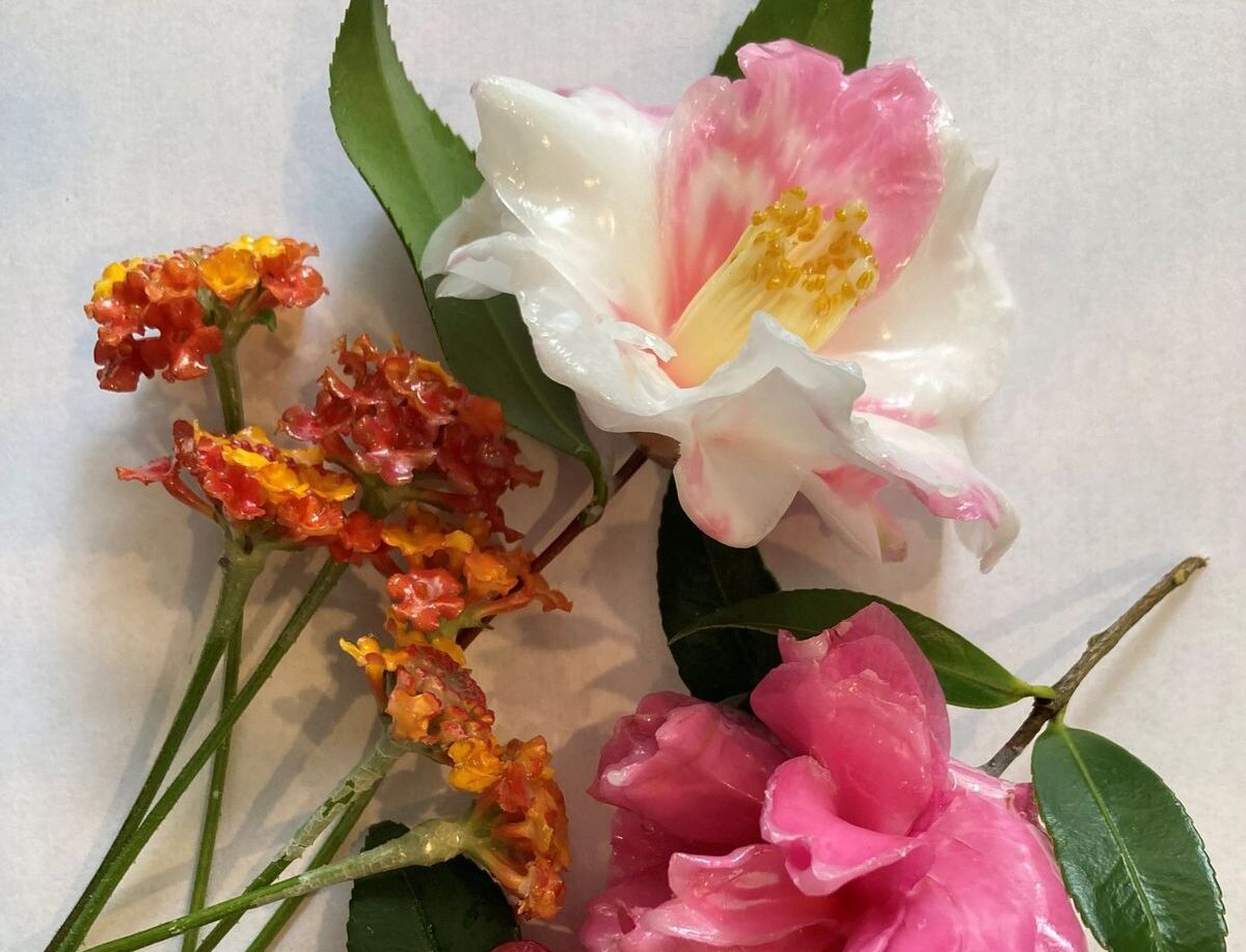 Explore the Beauty of Camellias: Flower Waxing Event in Hilton Head