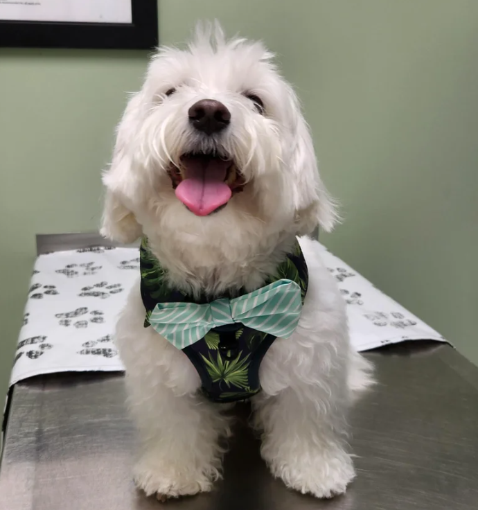 Heritage Animal Hospital in Hilton Head Island, SC