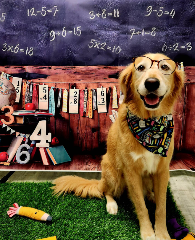 Heritage Animal Hospital in Hilton Head Island, SC