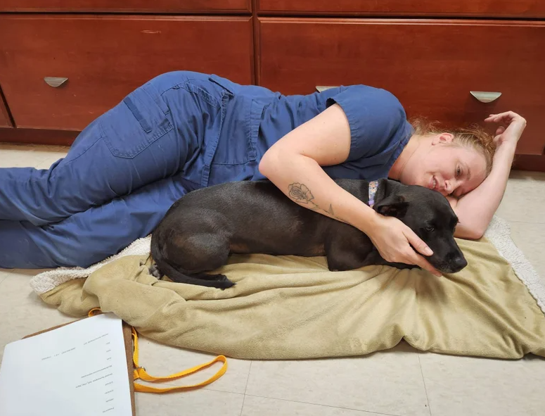 Heritage Animal Hospital in Hilton Head Island, SC